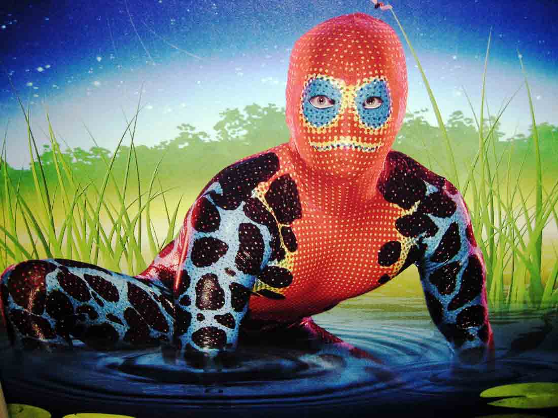 Cirque du Soleil